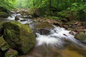 Riverbed: Stream Ilse in summer at Harz National Park Germany
