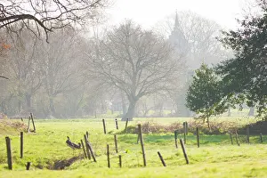 Drentsche: Stream in landscape with church tower and fence poles