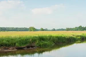 Esdorp: Stream in meadow valley with lush banks