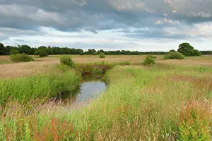 Esdorp: Stream meandering in grassy meadowland at dusk