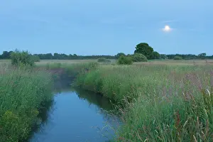 Moonlight: Stream meandering through meadow at dusk with trees and moon
