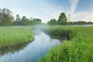 Esdorp: Stream in misty morning meadowfield with lush banks with gra