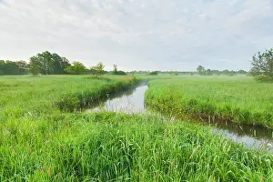 Esdorp: Stream in misty morning meadowfield with lush banks with gra