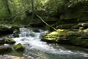 Arkansas: Stream in Ouachita National Forest