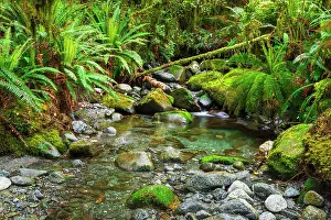 Lifestyle: Stream on the Tutoko River Track, Fiordland National Park