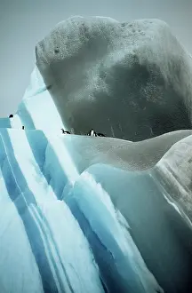 Jade: Striated Iceberg - Jade to blue with Chinstrap Penguins