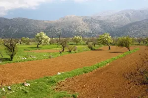 Draining: Strip cultivation on the Lassithi plateau, East