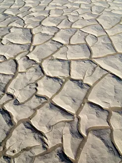 Mesquite: Structural forms at a dry pan in the Mesquite Flat