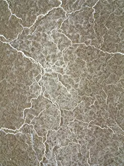 Forms: Structural forms of salt deposits at salt marshes