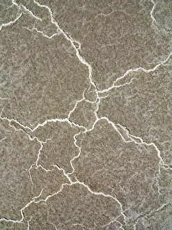 Forms: Structural forms of salt deposits at salt marshes