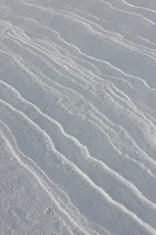 Ridges: Struktures snow Patterns in winter snow Lofoten, Norway