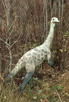 Replica: Struthiomimus