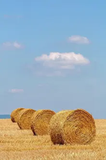 Stubble: Stubble field with straw rolls, Palatinate, Rhineland-Palati