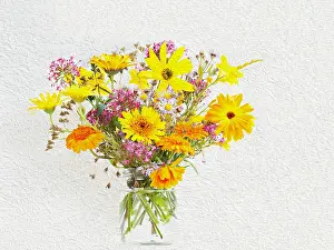 Container: Studio shot of summer flowers in glass jar, Artistic