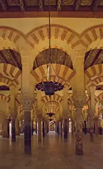 Pillars: The stunning forest of pillars in Cordoba's world