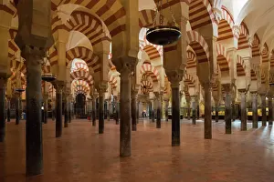 Pillars: The stunning forest of pillars in Cordoba's world