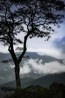 Storm: Stylized vista, Blue Ridge Parkway, Smoky Mountains, USA