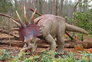 Model: Styracosaurus