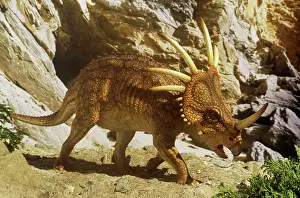 Models: Styracosaurus near cave