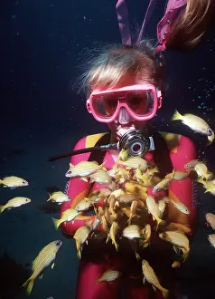 Valerie & Ron Taylor: Suba Diver with 5-lined Perch