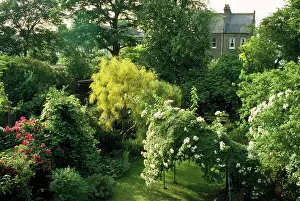 Suburban: Suburban Garden