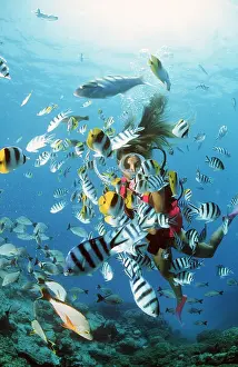 Divers: SUCBA DIVER - LADY WITH SHOAL OF FISH