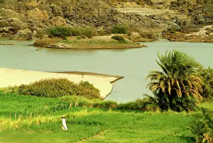 Everlasting: Sudan, North (Nubia), Papyrus cultivations