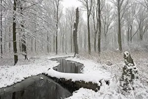 Typical: Sudden onset of winter, winter with snowfall in Meerbusch
