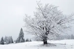 Sumava: Sumava region in the Czech Republic