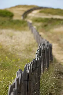 Typical: Summer dune landscape with the wooden picket fence