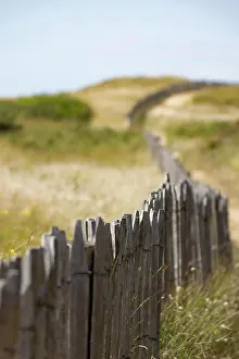 Typical: Summer dune landscape with the wooden picket fence