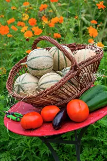 Pepper: Summer harvest of fruits and vegetables on a small