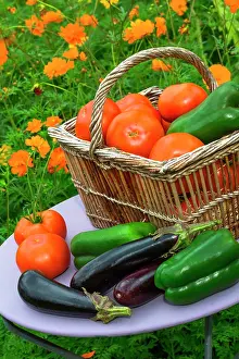 Pepper: Summer harvest of vegetables on a small garden table