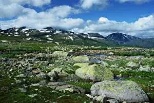 Ponds: Summer, Jotunheimen National Park