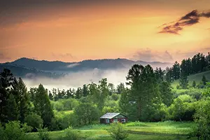 Banks: Summer morning on the banks of the Selenge River