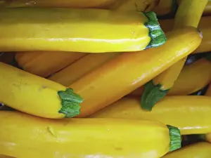 Pepo: Summer Squash