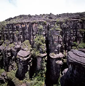 Tepui: Summit of Mount Kukenaam (Kukenan, Kukenan, Cuguenan)