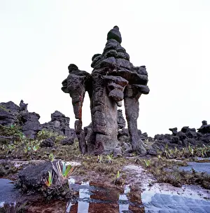 Tepui: Summit of Mount Kukenaam (Kukenan, Kukenan, Cuguenan)