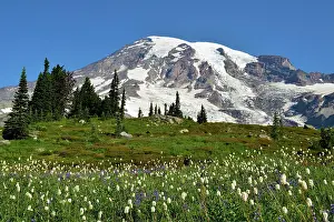 Rainier: Summit Mount Rainier, Mount Rainier National Park