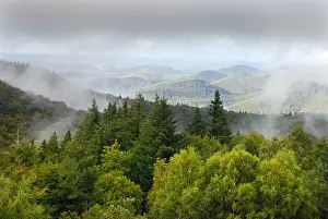 Vosges: Summits of Northern Vosges in summer, Regional Natural