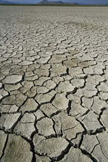 Crack: Sun-baked Salt Flats