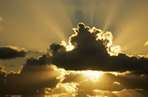Rays: Sun rays beam from behind cumulus clouds