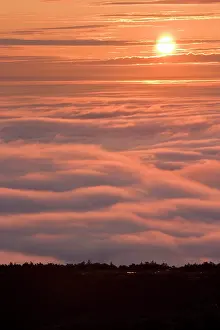 Rays: The sun rises above the fog as seen from