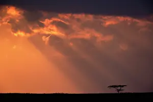 Sunbeams: Sunbeams, Ngorongoro Crater, Tanzania