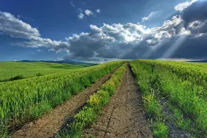 Leading: Sunbeams shining through clouds onto rural