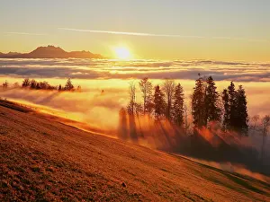 Pilatus: Sunbeams shining in the mist through a forest in