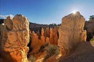 Adam Jones: Sunburst over Hoodoos Bryce Canyon National Park, Utah