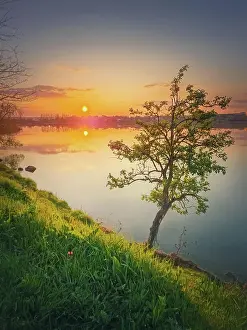 Silence: Sundown scene at the lake with a single tree on