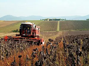 Machinery: Sunflower Seed Harvest