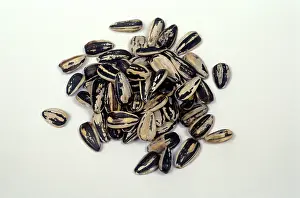 Snack: Sunflower seeds